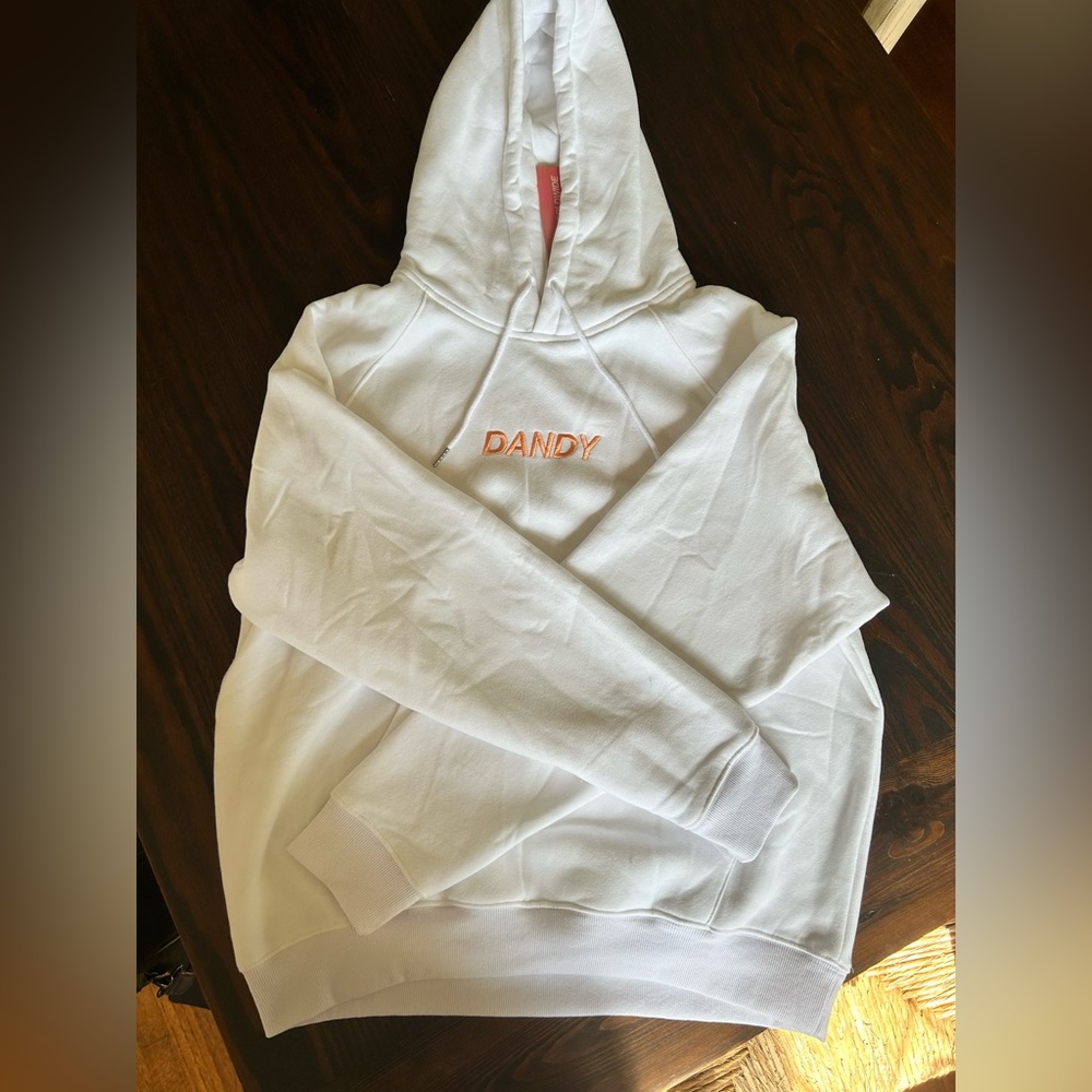 Brand new, with tags, never worn, size M Dandy Worldwide hoodie.
